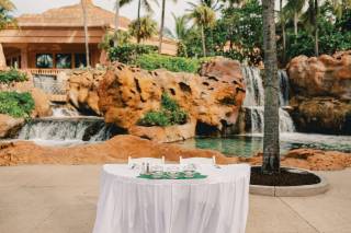 Bahamas Wedding Planner - 26