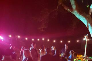 Dance Monkey Music & Lighting - 6