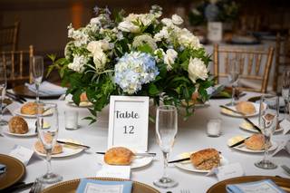 Pictures by Todd Photography - 7