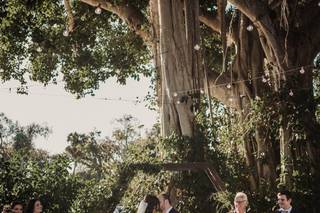 Alpha Weddings - 34
