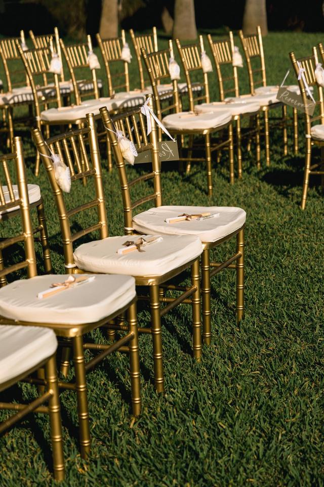 My Dream Wedding in Cabo - 1