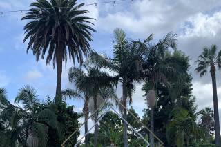 3 Little Birds Event Planning & Rentals - 28