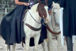 Tombstone Western Weddings - 8