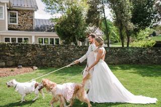 Bakerture Photo & Video - 20