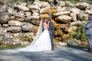 Lewiswood Farm - 10