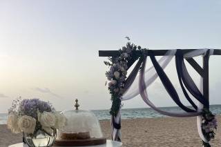 Paradise Vows PR - 7