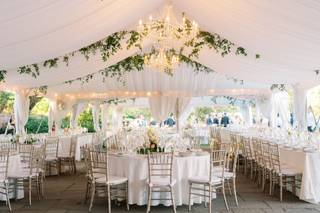 Colorfully Yours Weddings & Events - 6