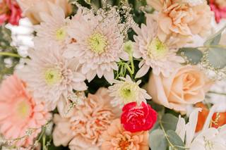 Mayfly Flowers - 24