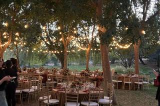 Rose & Poppy Events - 13