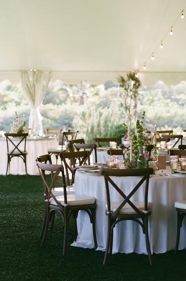 Wild Heights Event Design and Coordination - 2