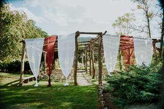Taylor Willoughby Photo - 34