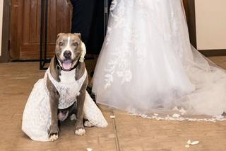 Marry Me - 27