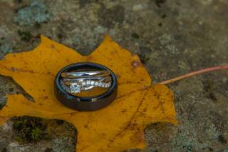 Neilson Photography - 4
