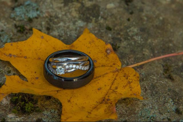 Neilson Photography - 1
