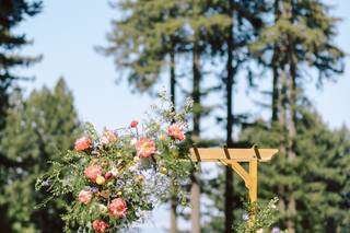 Niche & Nook Flowers - 6