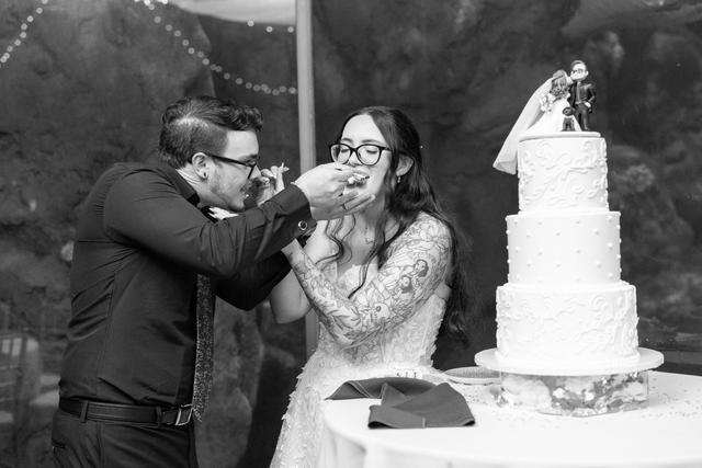 The Cake Girl - 1