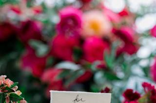 Rocking Bird Flower Co. - 24