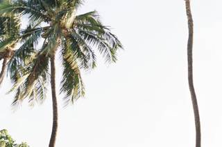 Dmitri and Sandra Maui Wedding Photography - 9