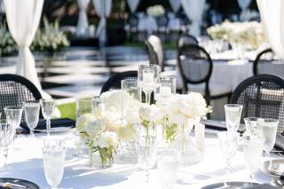 Alegria by Design - 6