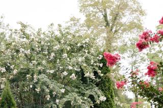 Dom Design Photography - 23