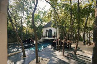 Ambre et Epices Jungle Venue - 9