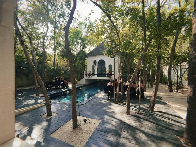 Ambre et Epices Jungle Venue - 4