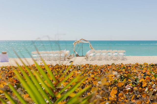 Plan My Beach Wedding - 4
