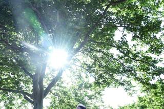 Lifetyme Photo and Video - 8