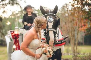 Elizabeth Birdwell Photography - 51