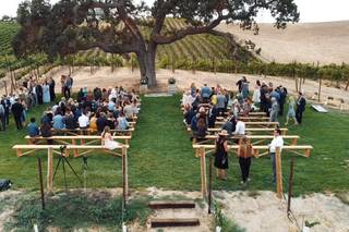 Ella's Vineyard - 21