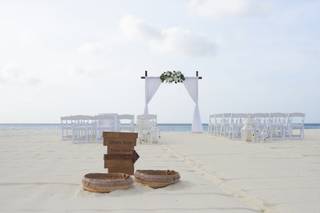 Colosal Weddings - 11