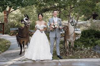 Wild Basin Lodge and Event Center - 7