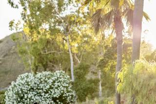 Emily Elizabeth Photography - 7