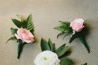 bloom room - 16