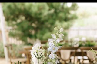 Bells & Whistles at the Flower Field - 9