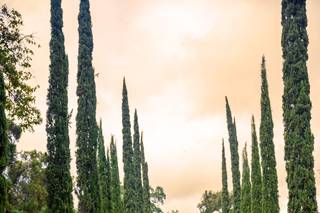 Adam J Clark Photography - 62