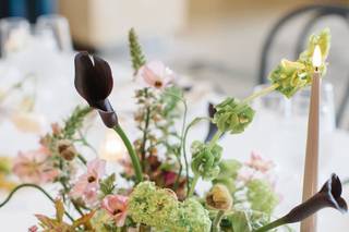 Kelly Giarrocco Photography - 6