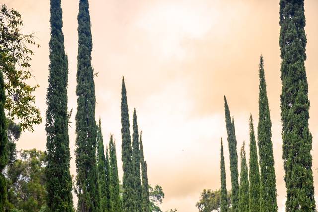 Adam J Clark Photography 2