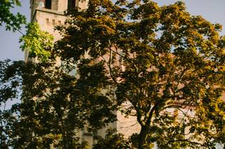 The Gardens - 13