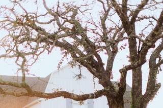 The French Farmhouse Venue and Inn - 8