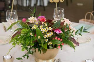 B. Darling Floral - 6