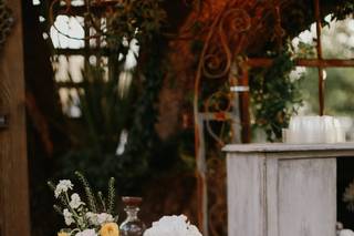 Old & New Outdoor Events - 7