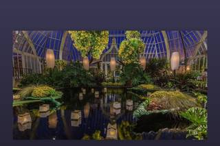 Phipps Conservatory - 19