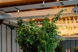 The Pier Sixty Collection - 31