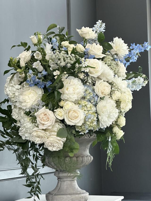Lush Design Studio - 2