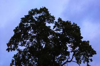 David Perlman Photography - 18