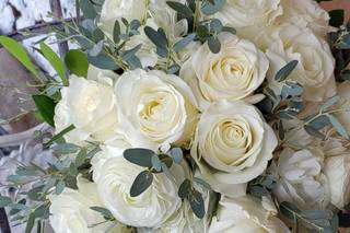 Sarandipity Floral - 62