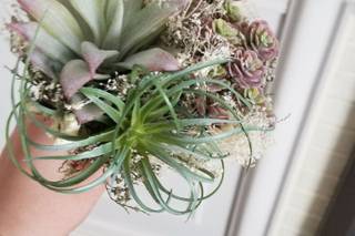 Rose Avenue Floral - 34