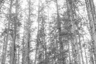 Jessica Merithew Photography - 75