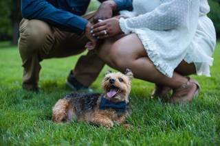 J. Sasu Photography - 32